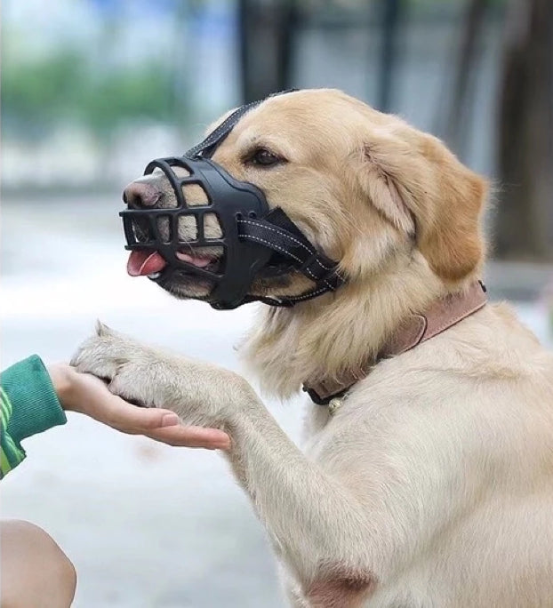 Focinheira Silicon™ | Conforto e Segurança para Cães em Passeios e Veterinário