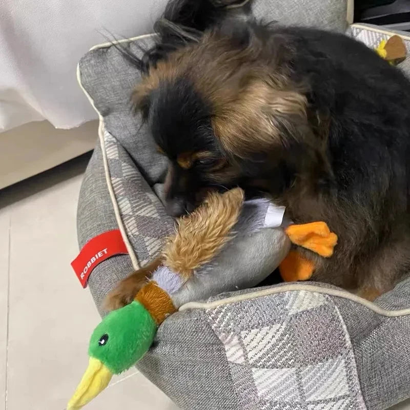 Brinquedo Patão Geraldo™ | Para Cachorro - BonoPet
