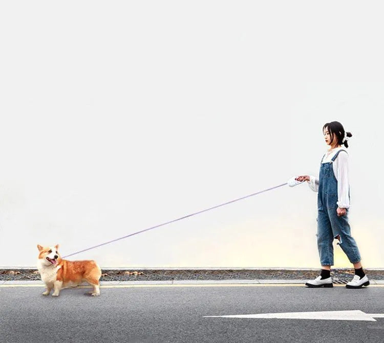 Guia RGB Retrátil com Lanterna LuminaRGB | Para Cachorro e Gato - BonoPet