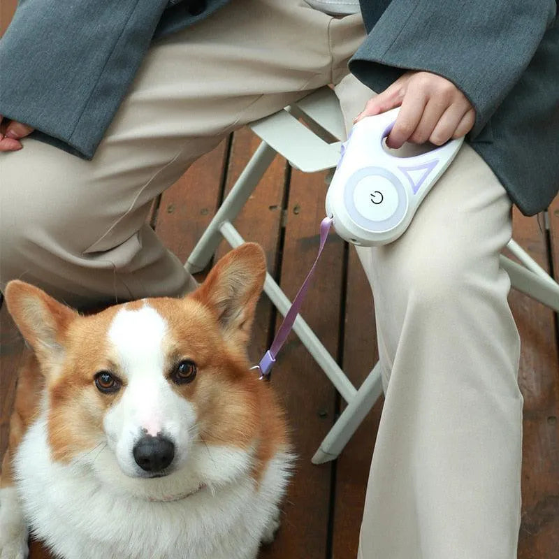 Guia RGB Retrátil com Lanterna LuminaRGB | Para Cachorro e Gato - BonoPet